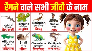 Reptiles names for kids and preschoolers  10 reptiles name in english and hindi [upl. by Rede]