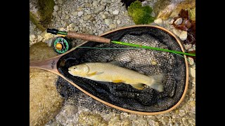 Flyfishing the Soca River Slovenia  83124 [upl. by Saisoj]