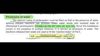 Photolysis Of Water 💧 1st year Biology education biology photolysis [upl. by Gnivre]