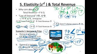 Elasticity amp Total Revenue Relationship  Elasticity Chapter Part 7 [upl. by Nnave]