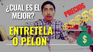 Entretela o Pelón ¿Cual es el mejor  explicación rápida [upl. by Ecinev660]