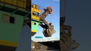 Coal loading excavator machine  shorts youtubeshorts [upl. by Ivanah]