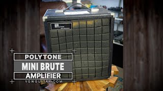 Polytone Mini Brute Amplifier  VGW [upl. by Crowe]