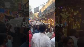 Bhagirath palace  Diwali shopping  Chandni Chowk [upl. by Osbourn]