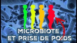 Comment votre MICROBIOTE INTESTINAL vous fait GROSSIR ou maigrir [upl. by Essenaj]