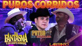 El Fantasma Potro Sinaloa Grupo Laberinto  Puros Coridos [upl. by Anod]