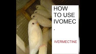 Ivermectin ivomec ko birds ko kesy di jay [upl. by Aserehc157]