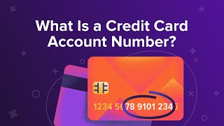 What Is a Credit Card Account Number [upl. by Britt588]