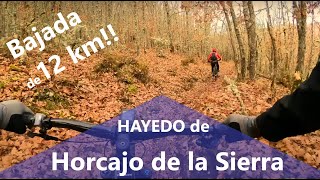 Horcajo de la Sierra  Madrid mtb [upl. by Shoemaker]