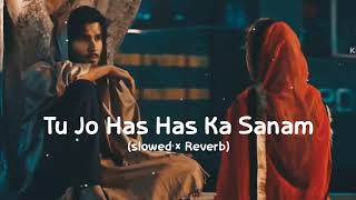 tu Jo has has ke sanam Lofi songs old hindi songs [upl. by Jentoft882]