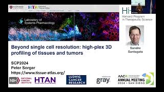 Beyond singlecell resolution highplex 3D profiling of tissues and tumors l Prof Peter Sorger [upl. by Bittner691]