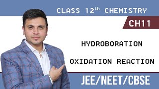 HYDROBORATION OXIDATION REACTION [upl. by Armyn]