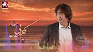 Dawood Sarkhosh Pashto Song Gulaly داود سرخوش آهنگ پشتو گلالی [upl. by Cybill]