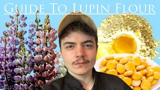 Guide To Lupin Flour  The Keto Kitchen [upl. by Amalbena106]