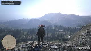 Red Dead Online Rough Legged Hawk location [upl. by Brelje]