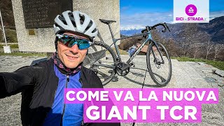 Come va la nuova Giant TCR 2024 [upl. by Eedolem844]