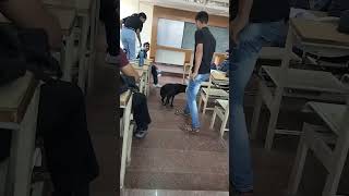 When dog enter in class room dog class [upl. by Pet114]