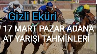 17 MART 2024 PAZAR ADANA AT YARIŞI TAHMİNLERİ GİZLİ EKÜRİ KANALİMİZDA [upl. by Innoc]