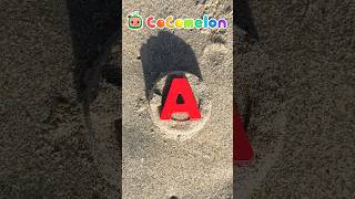 Learn ABCs at the Beach Easy DIY Lessons cocomelon shorts [upl. by Benco109]