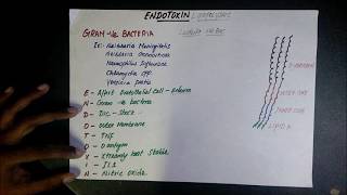 Microbiology Endotoxin [upl. by Ltney]