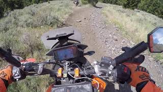 🍊FLEECER RIDGE DESCENT PART 2 KTM🍊 [upl. by Addiego]