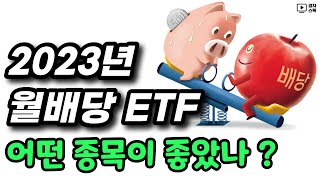 주식형 월배당 ETF 2023년 투자 수익률 BEST ㅣ 주가 상승  분배금으로 성과 분석 [upl. by Vod45]