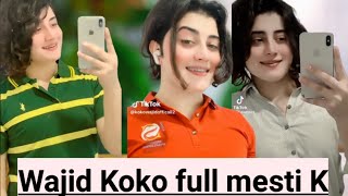 Wajid Koko viral video  Wajid Koko new TikTok video  wajid Koko viral shorts 2024 [upl. by Roley]