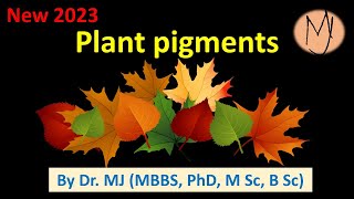 Pigments plants chlorophylls carotenoids flavonoids betalains phytochromes DoctorTutors [upl. by Ynnel]