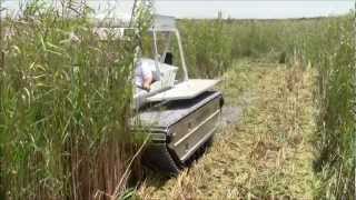 Marsh Master MM2C Cutting Phragmites [upl. by Ojadnama764]