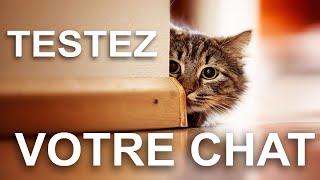 TESTEZ VOTRE CHAT [upl. by Allsun]