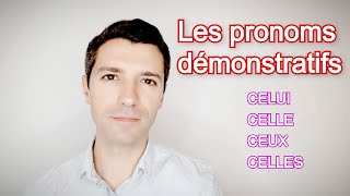 Français B2  Les pronoms démonstratifs CELUI CELLE CEUX CELLES [upl. by Kcirddec519]