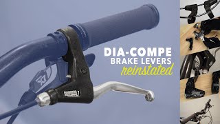 Bring Back The DiaCompe Brake Levers [upl. by Chelsea]