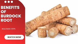 What Are The Health Benefits Of Burdock Root  Learn About The Unknown Benefits Of Burdock Root [upl. by Sillyhp]