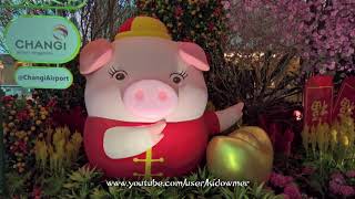 Chinese New Year of the Pig 2019Singapore Changi Airport [upl. by Erek]