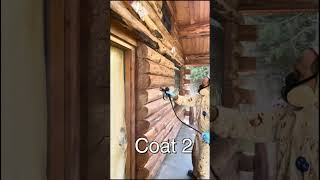 Staining a log house [upl. by Ramad]