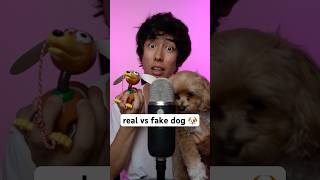 real vs fake dog 🐶 asmr [upl. by Boaten]