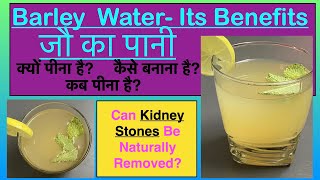 How To Make Barley Water Its Benefits  Natural Home Remedy To Get Rid Of Kidney Stones [upl. by Armelda285]