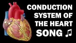 CONDUCTION SYSTEM OF THE HEART SONG [upl. by Tolliver]