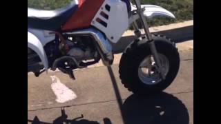 Honda Atc 250R drag bike [upl. by Rimaa583]