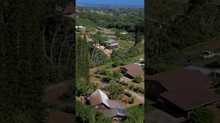 New Listing in Kalaheo kauai realestate realtorsofyoutube newlisting [upl. by Inail]