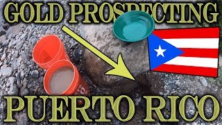 Gold Prospecting in Puerto Rico  Mameyes River [upl. by Gabrielson]