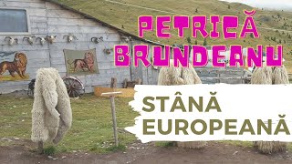 Petrică Brundeanu  Am stână europeană [upl. by Tabina378]