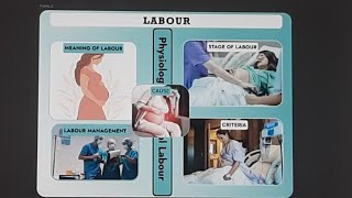 labour  criteria  cause of labour  stage of labour  physiology of normal labour labour stage [upl. by Annia146]