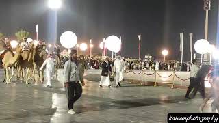 Qatar National day celebration parade qatar arabianhorse camel doha qnd ummsalal [upl. by Rramel]