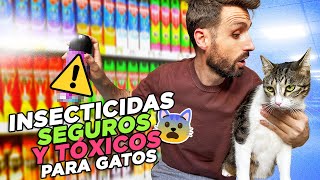 Cómo ACABAR CON INSECTOS 🦟 DE FORMA SEGURA ✅ en casas CON GATOS 🐱 Tierra de diatomeas aceites y [upl. by Dibb957]