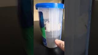 DampRid Review  60 Days of Use Full Container [upl. by Auka]