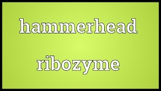 Hammerhead ribozyme Meaning [upl. by Nobell274]