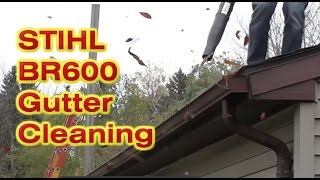 Stihl BR600 Backpack Blower For Gutters and Leaves [upl. by Deborah657]