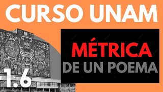 ✅ Literatura UNAM Métrica de un poema  Sinalefa Hiato Diptongo Diéresis y Sinéresis  Versos [upl. by Kcirdnek316]