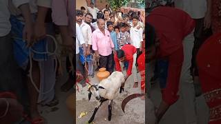 gangamma gangammathalli jathara2024 shorts vairalvideo durgammatemple durgadevi ammoruthalli [upl. by Pelagias]